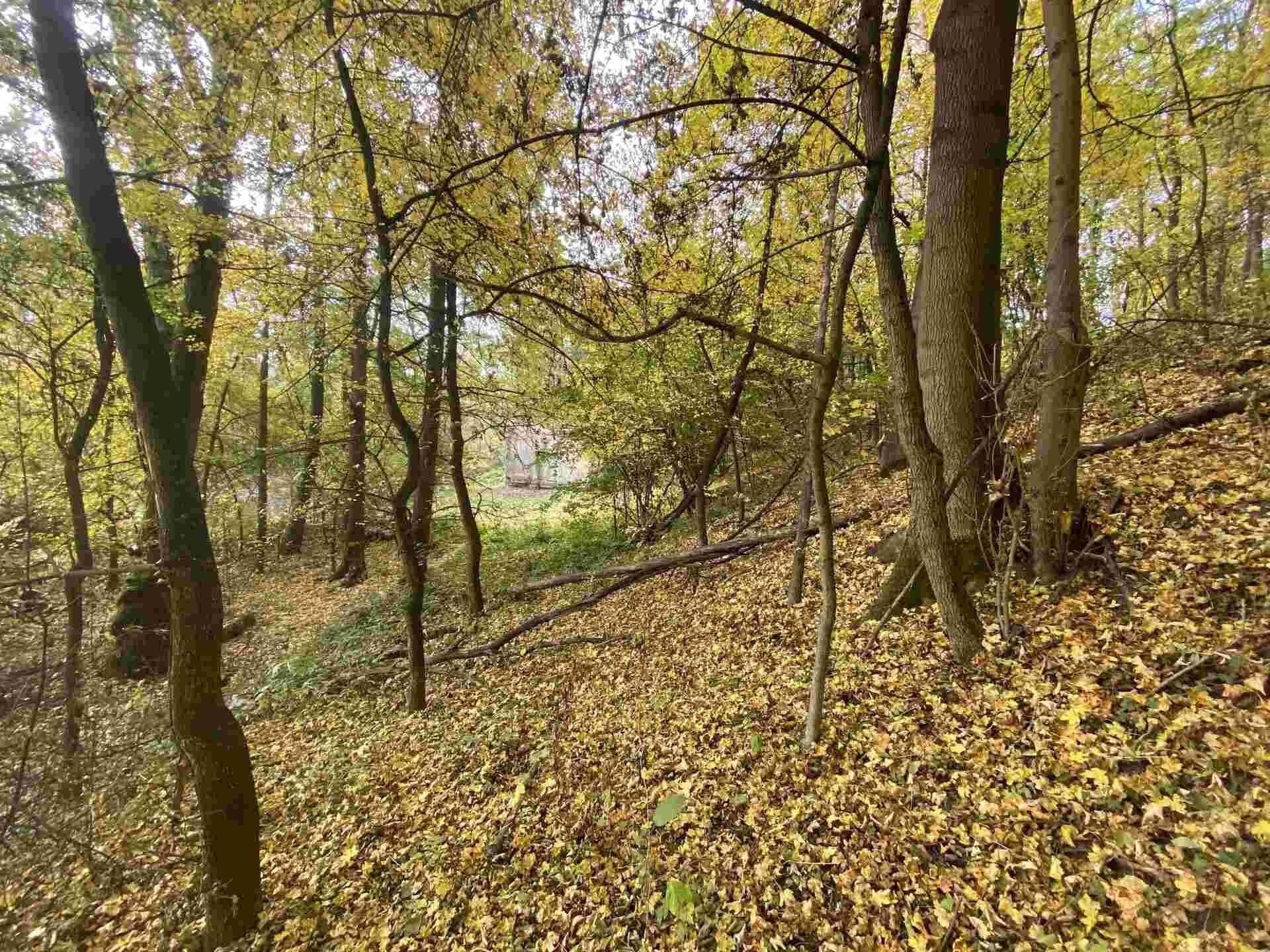 prodej pozemků Svijany