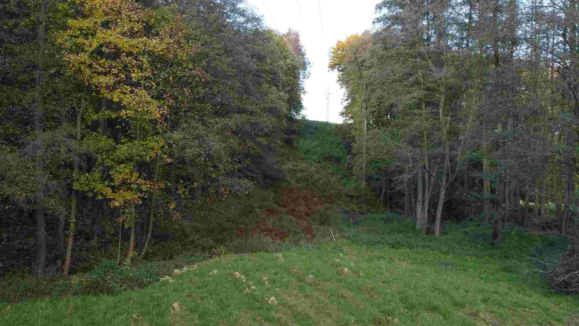 prodej pozemku k.ú. Dolní Sedlo