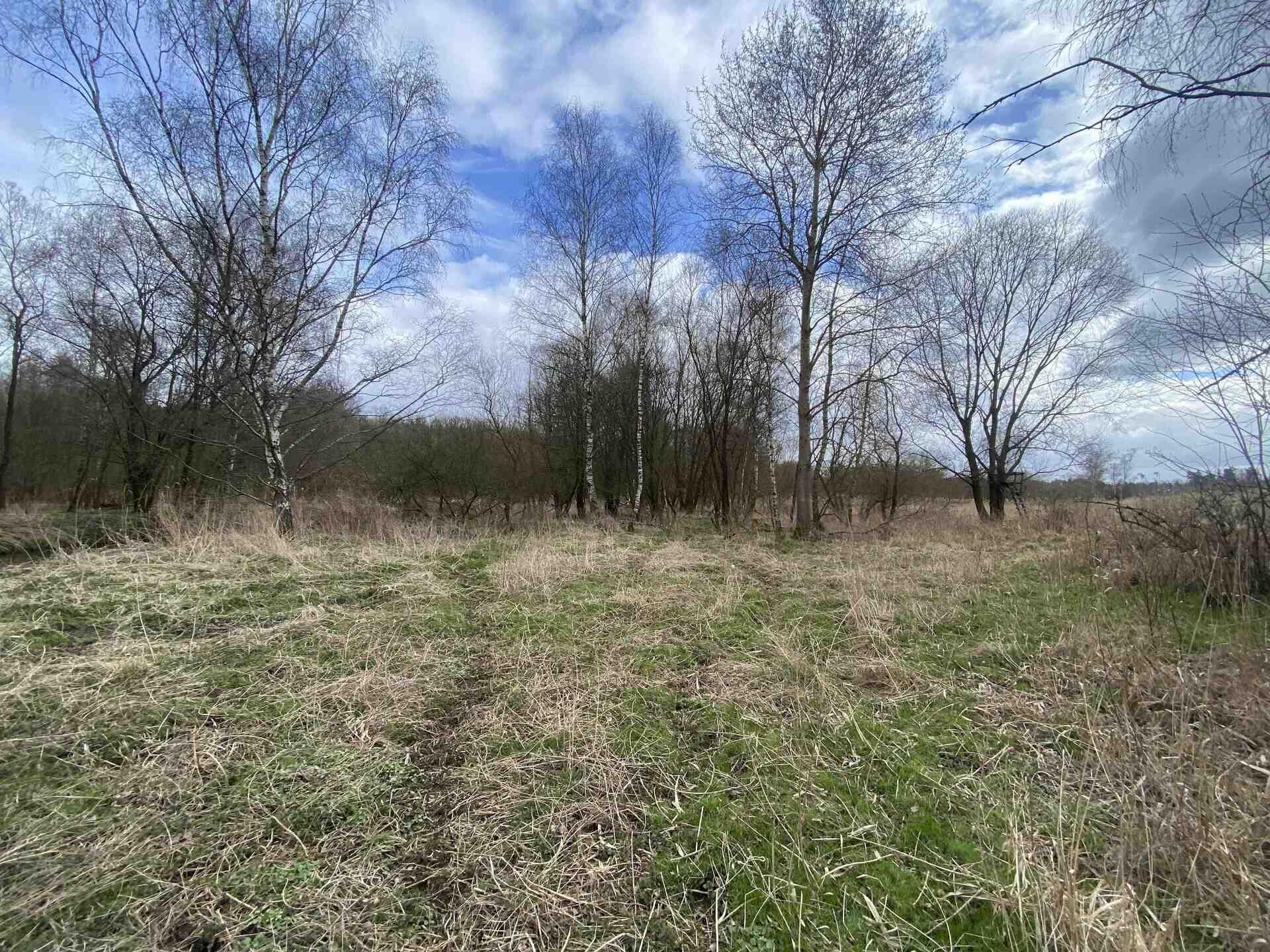 prodej pozemku Mimoň