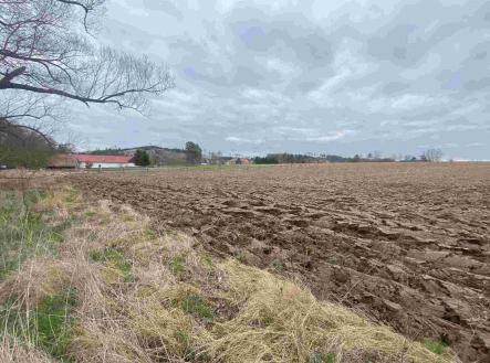 Prodej - pozemek, zemědělská půda, 18 091 m²