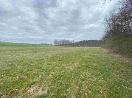 Prodej - pozemek, zemědělská půda, 18 091 m²