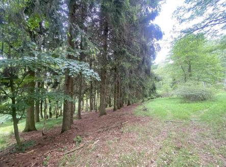 Prodej - pozemek, zemědělská půda, 2 750 m²