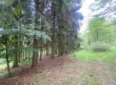 Prodej - pozemek, zemědělská půda, 2 750 m²