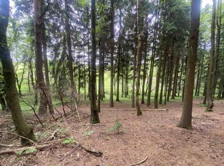 Prodej - pozemek, zemědělská půda, 2 750 m²