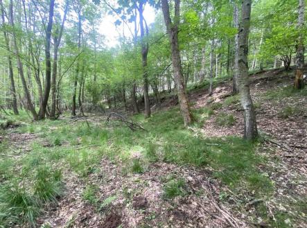 Prodej - pozemek, zemědělská půda, 2 750 m²
