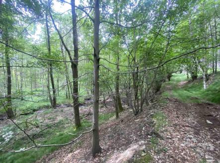 Prodej - pozemek, zemědělská půda, 2 750 m²