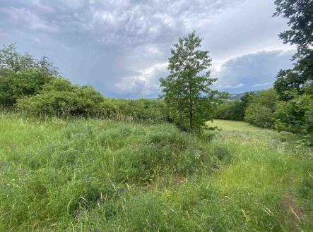 Prodej - pozemek, zemědělská půda, 10 485 m²