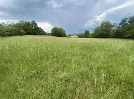 Prodej - pozemek, zemědělská půda, 10 485 m²