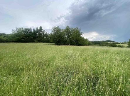 Prodej - pozemek, zemědělská půda, 10 485 m²