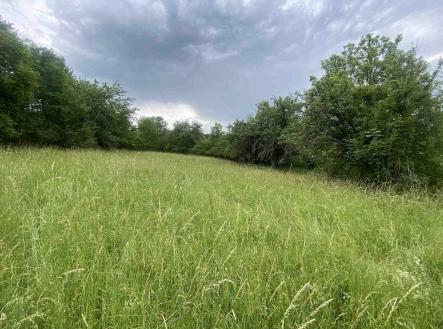 Prodej - pozemek, zemědělská půda, 10 485 m²