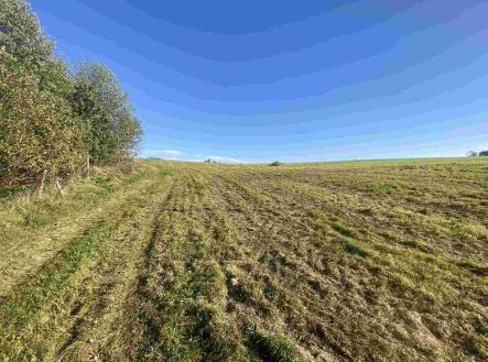 Prodej - pozemek, zemědělská půda, 236 m²