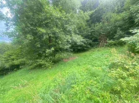 Prodej - pozemek pro bydlení, 1 004 m²