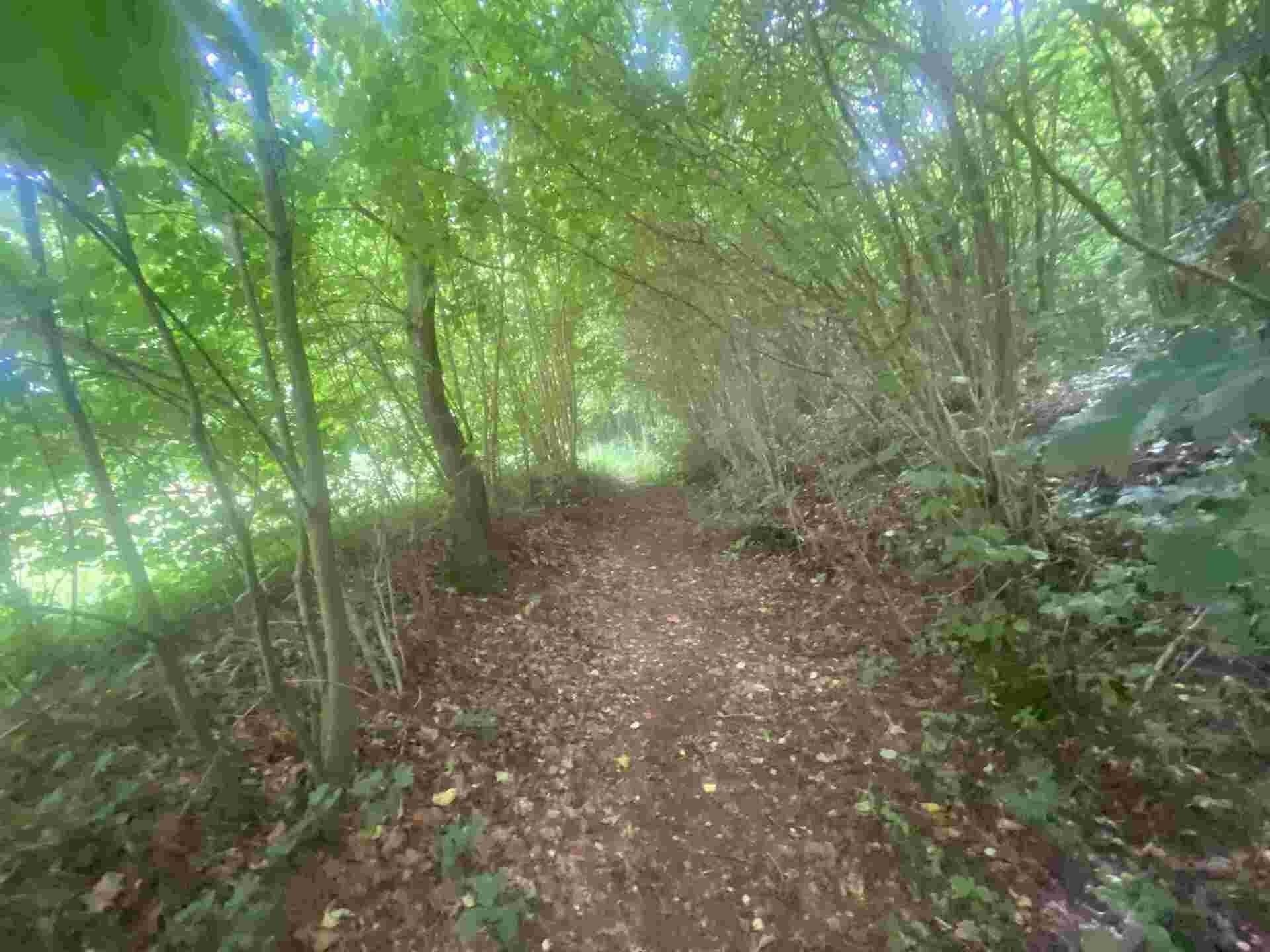 Dražba pozemku Mladkov