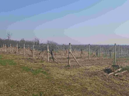 Prodej - pozemek, ostatní, 754 m²