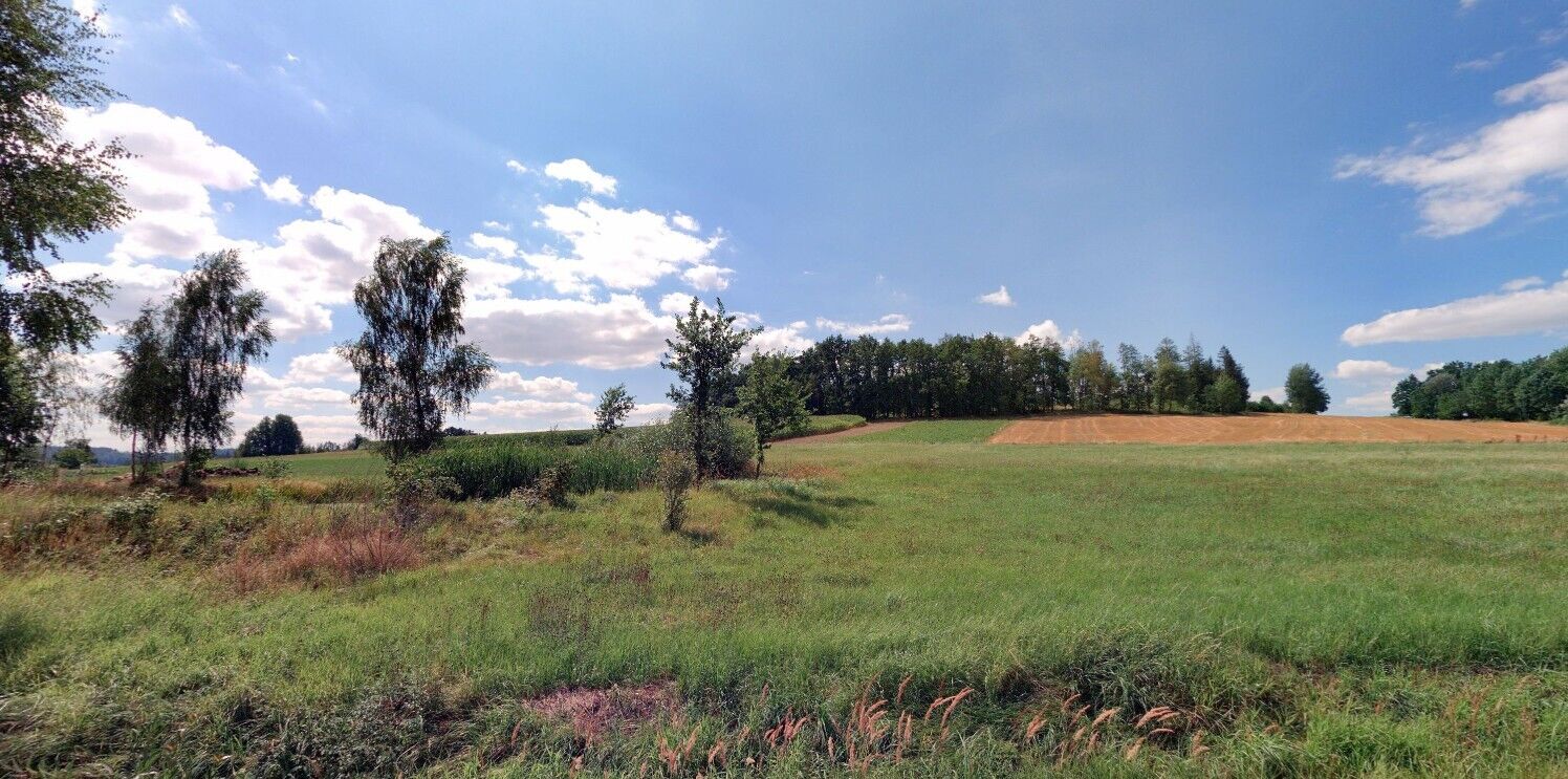 Prodej pozemků Nová Ves u Mladé Vožice