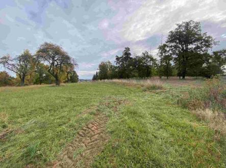 Prodej - pozemek, ostatní, 2 376 m²