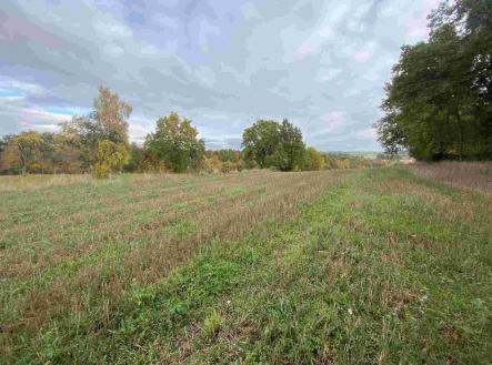 Prodej - pozemek, ostatní, 2 376 m²