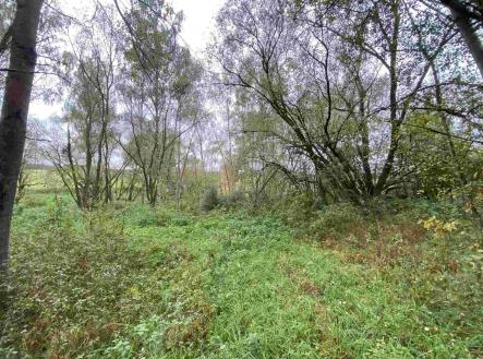 Prodej - pozemek, ostatní, 10 042 m²