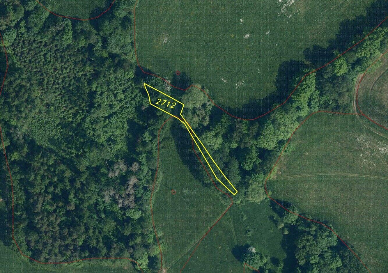 prodej pozemků k.ú. Benešov u Semil + Čikvásky