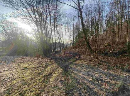 Prodej - pozemek, zemědělská půda, 1 005 m²