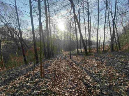 Prodej - pozemek, zemědělská půda, 1 005 m²