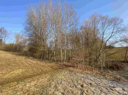 Prodej - pozemek, zemědělská půda, 1 005 m²