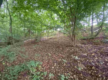 Prodej - pozemek, ostatní, 1 994 m²