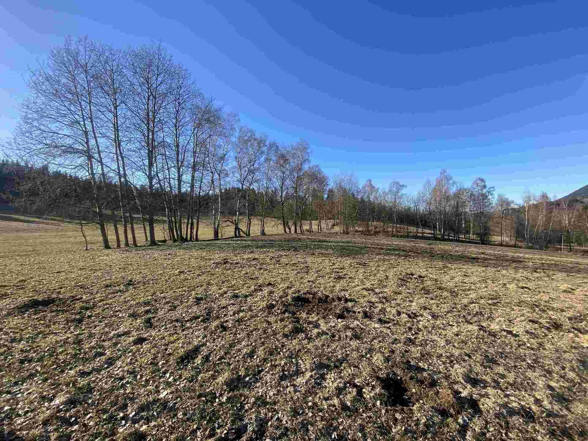 DRAŽBA pozemku Bečkov, obec Bernartice