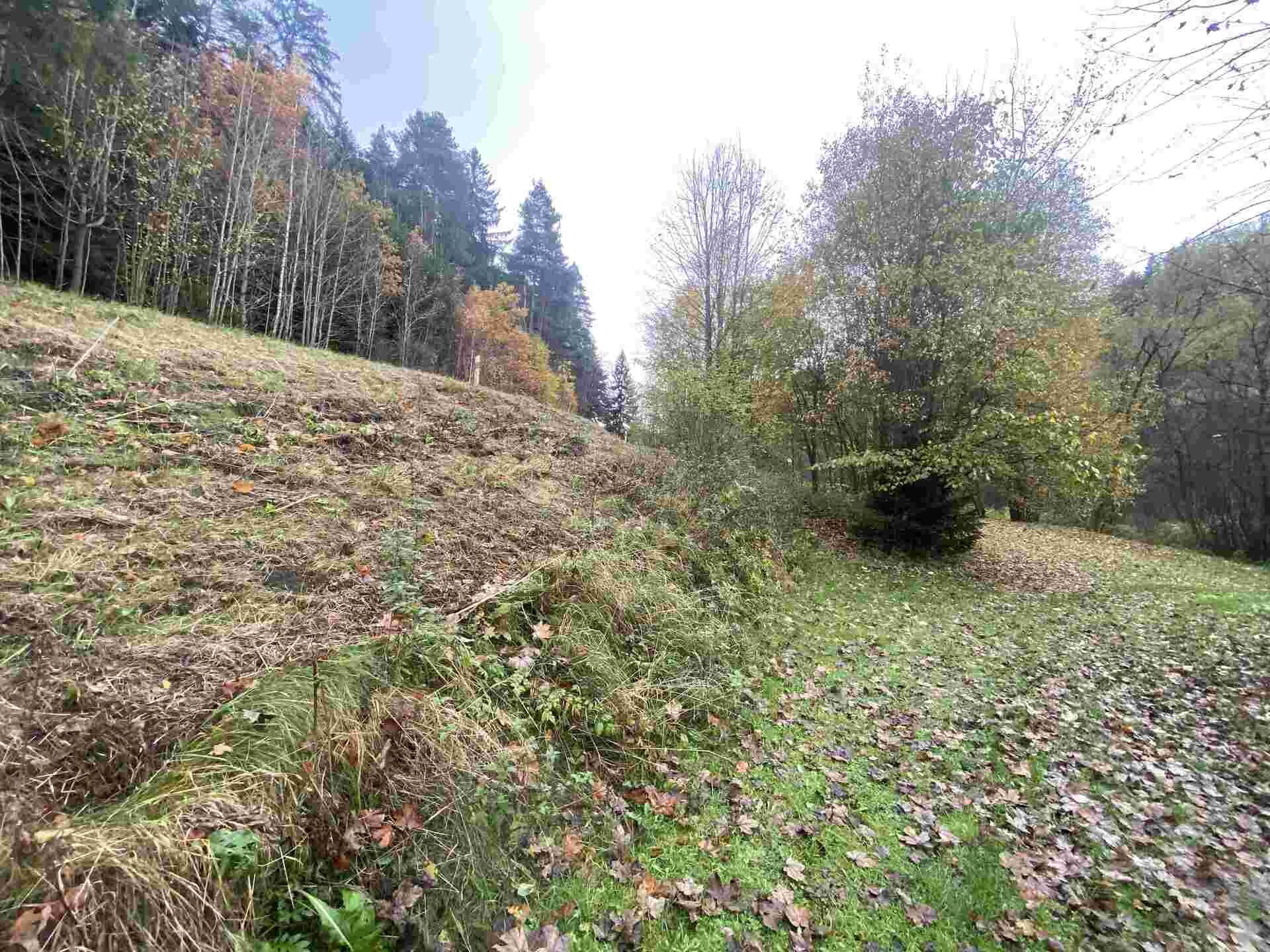 prodej pozemků k.ú. Chlum u Hartmanic