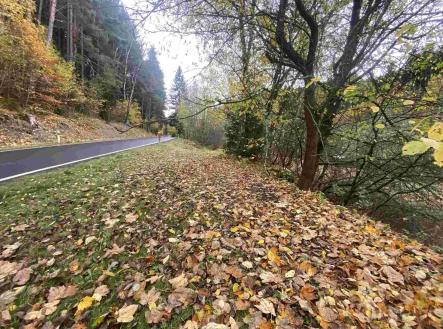 Prodej - pozemek, ostatní, 2 902 m²