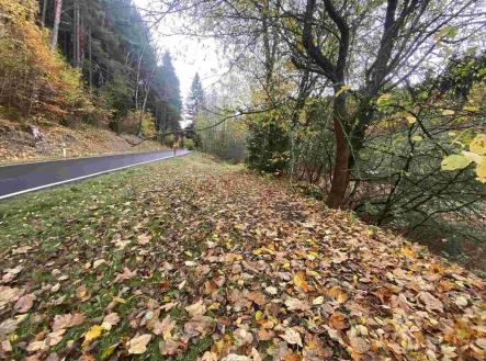 Prodej - pozemek, ostatní, 1 223 m²