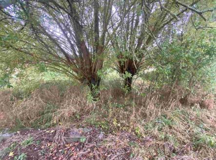 Prodej - pozemek pro bydlení, 588 m²