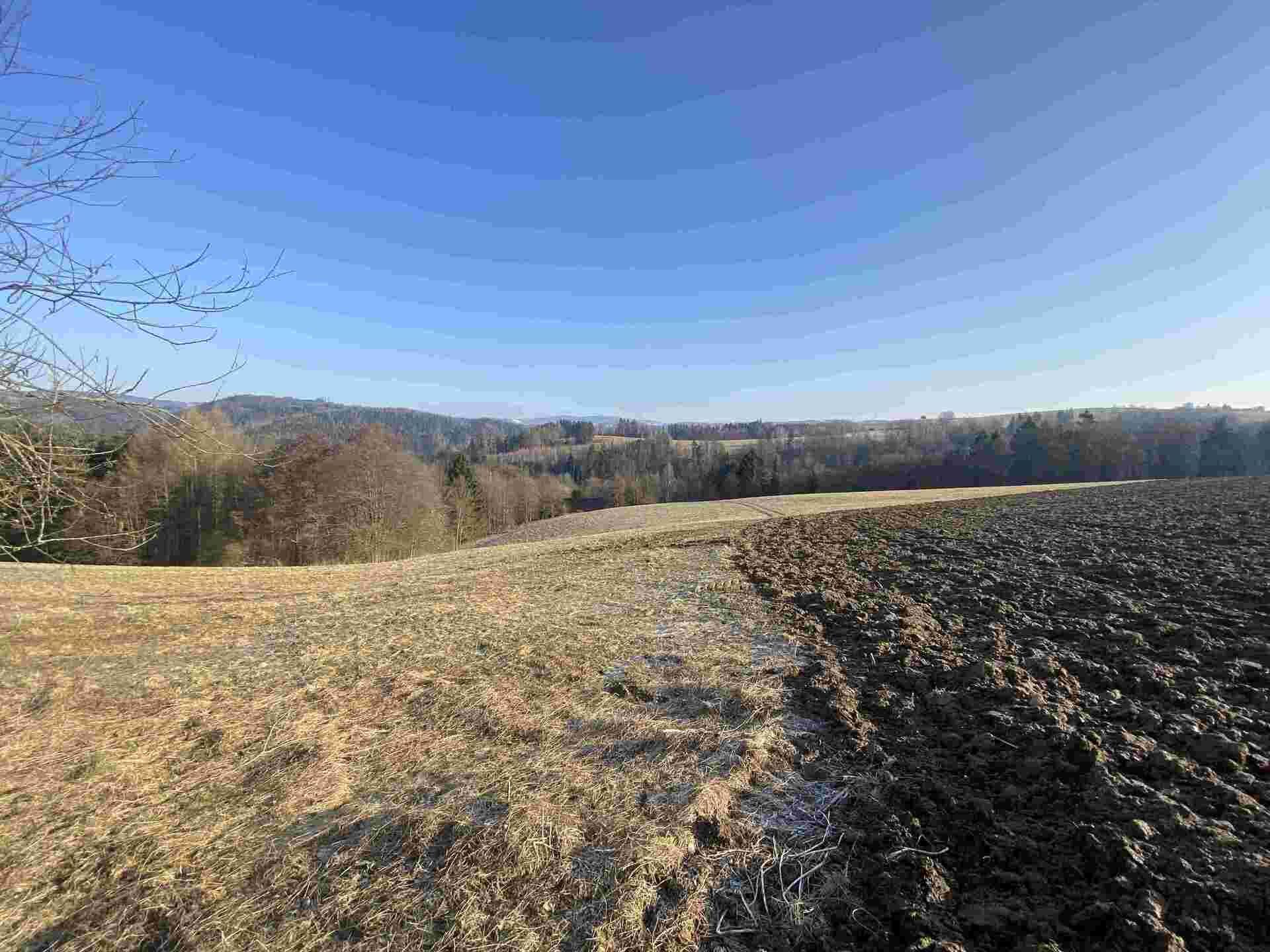 dražba pozemků Spálov u Semil