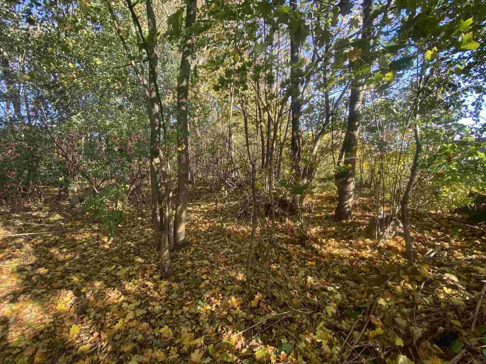 Prodej pozemku Zdislava