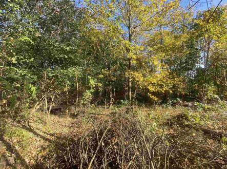 Prodej - pozemek pro bydlení, 1 043 m²