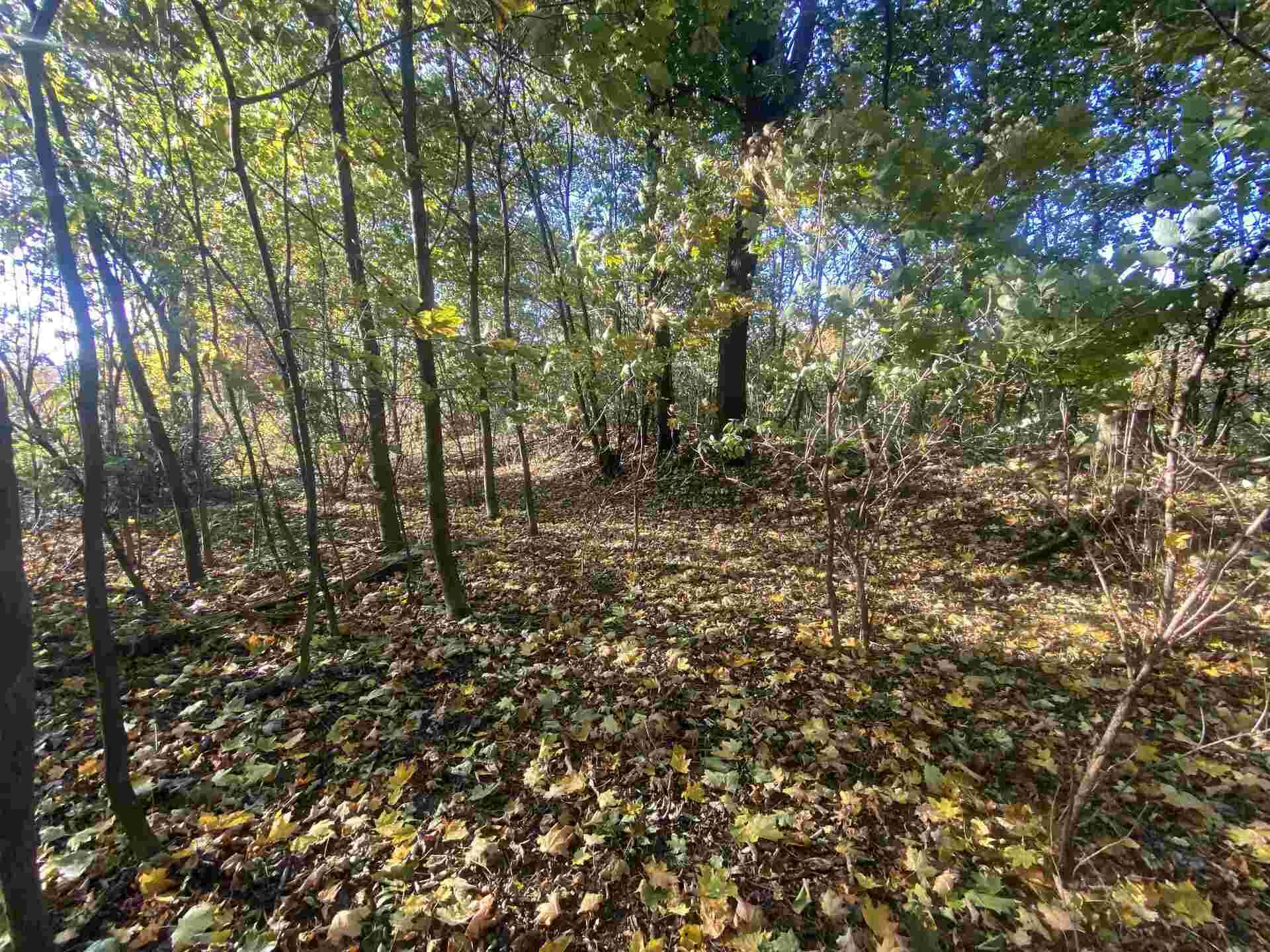 Prodej pozemku Zdislava