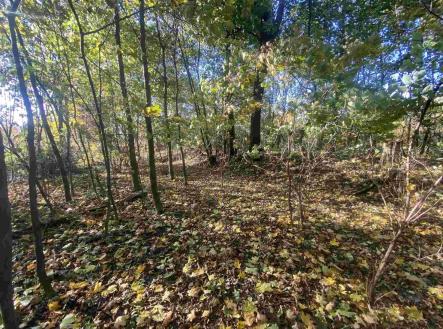 Prodej - pozemek pro bydlení, 1 043 m²