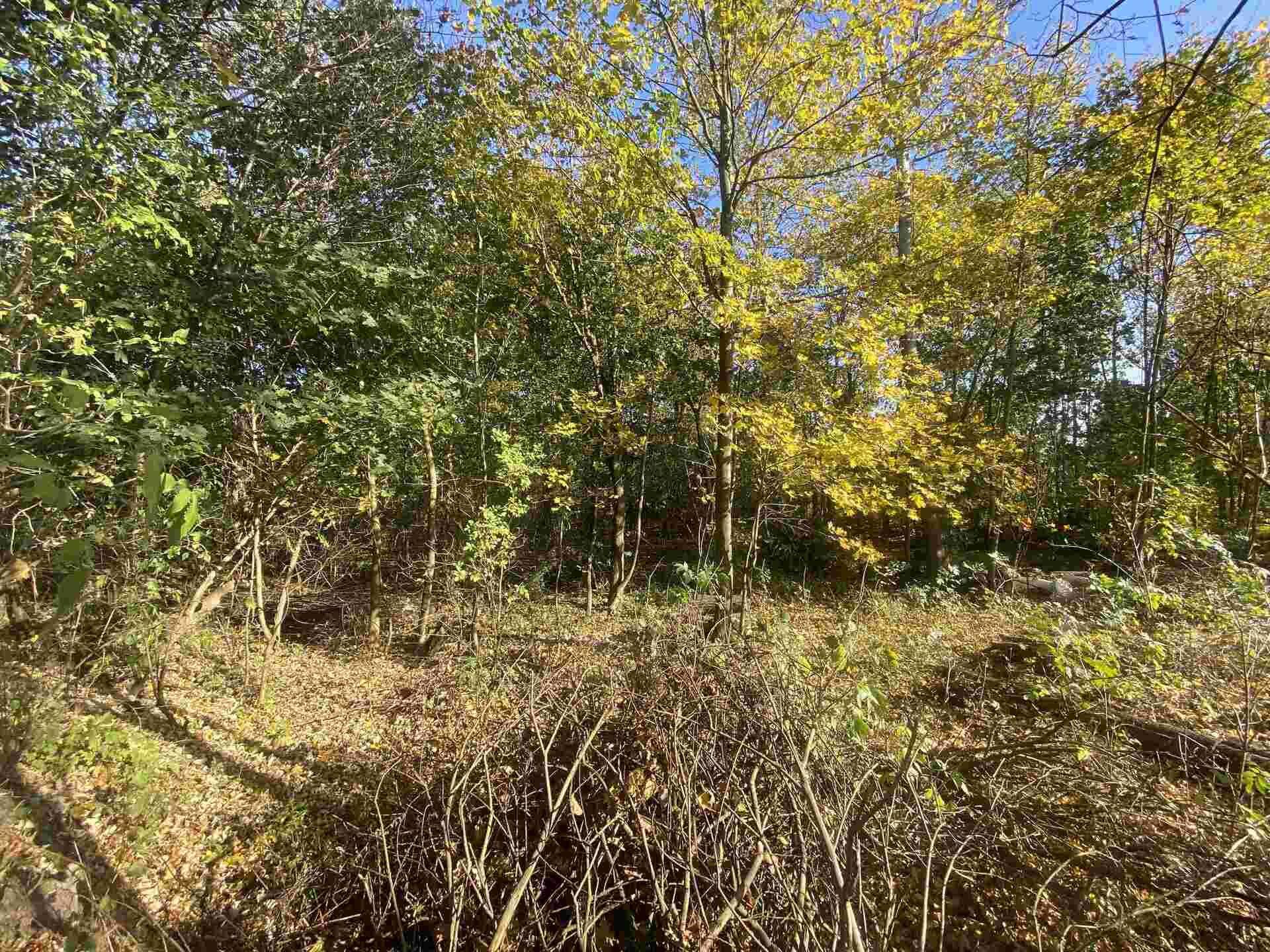 Dražba pozemku Zdislava