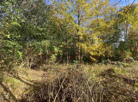 Prodej - pozemek pro bydlení, 1 043 m²