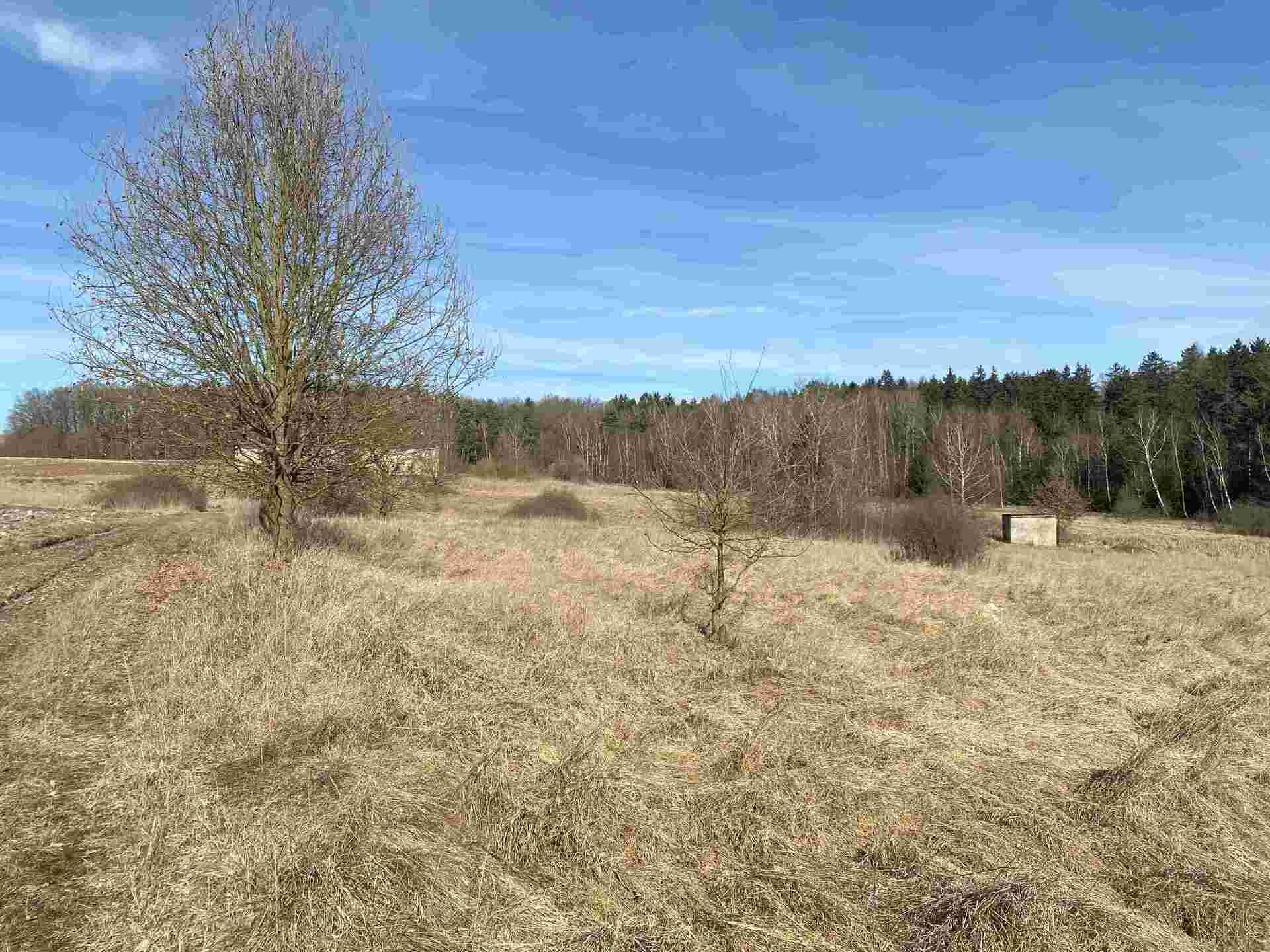 prodej pozemků k.ú. Jedličná