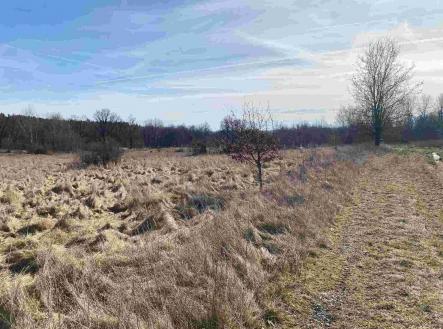 Prodej - pozemek, ostatní, 2 500 m²