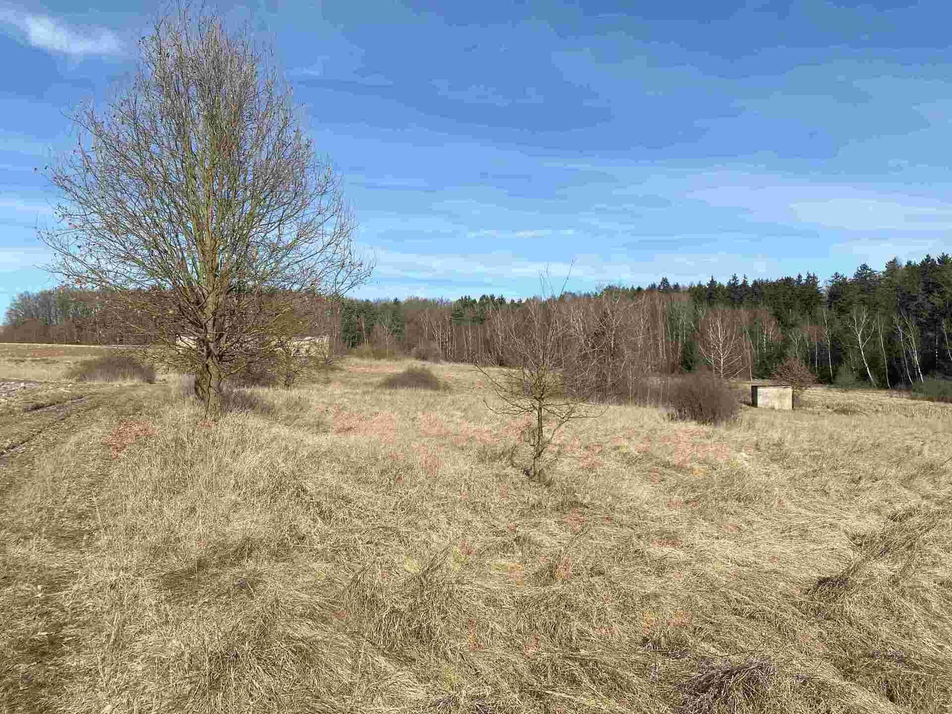 prodej pozemků Jedličná