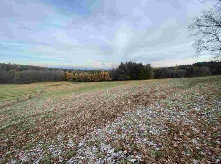 Prodej - pozemek, zemědělská půda, 2 312 m²