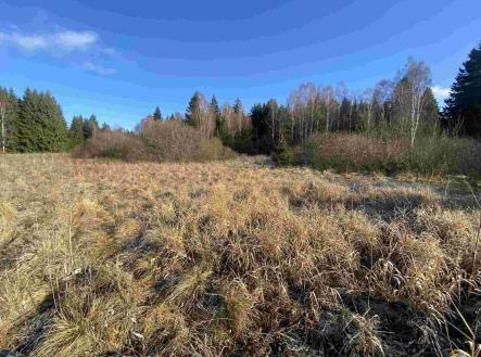 Prodej - pozemek, zemědělská půda, 16 994 m²