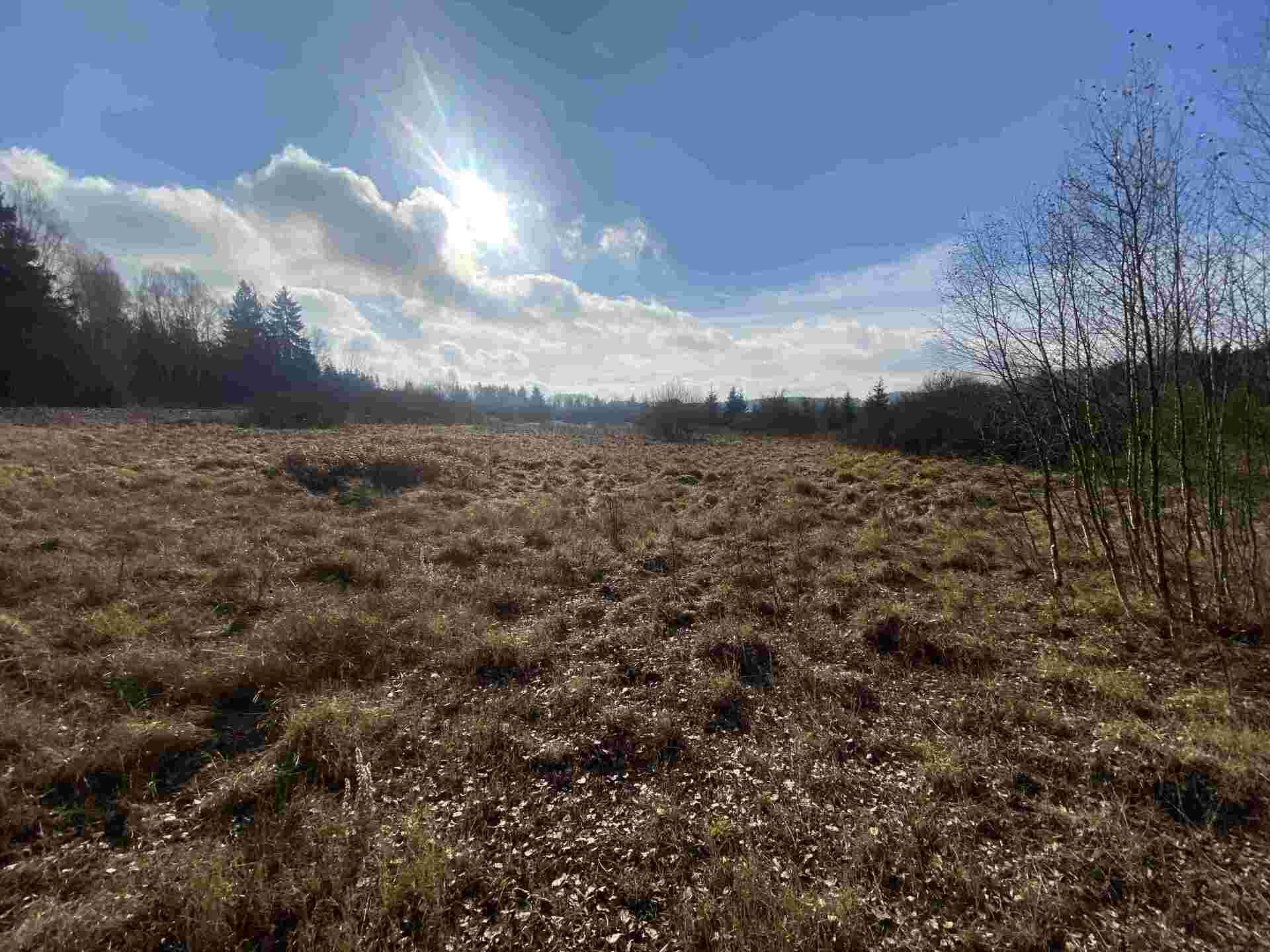 Prodej pozemků Černá v Pošumaví