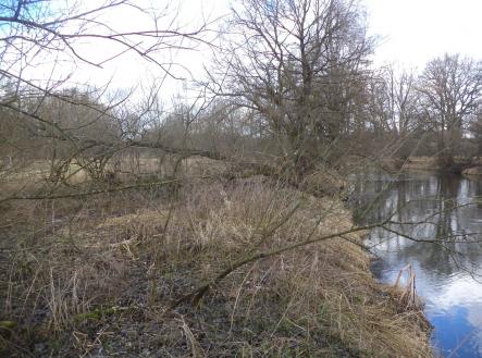 Prodej - pozemek, ostatní, 6 591 m²