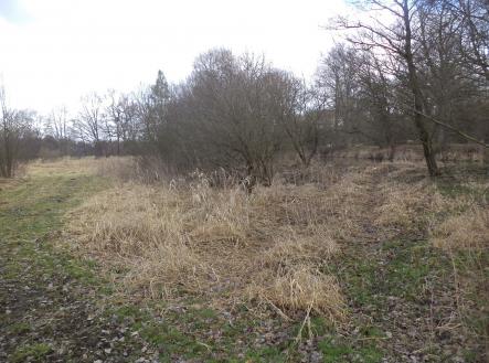 Prodej - pozemek, ostatní, 6 591 m²