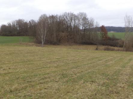 Prodej - pozemek, zemědělská půda, 19 946 m²