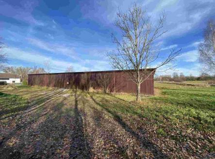 Prodej - pozemek pro bydlení, 3 703 m²