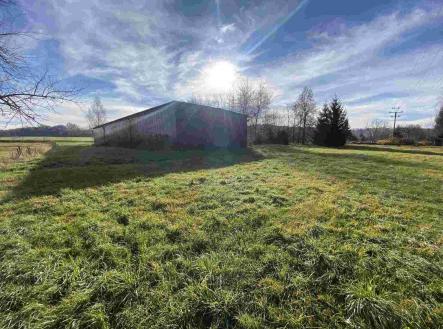 Prodej - pozemek pro bydlení, 3 703 m²